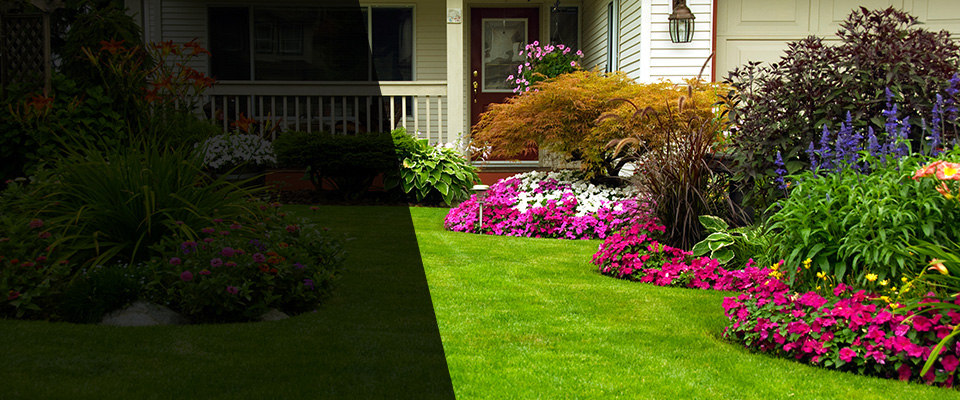 Mineral Point Landscapers