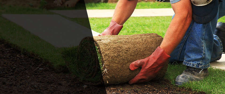 Mineral Point Landscapers